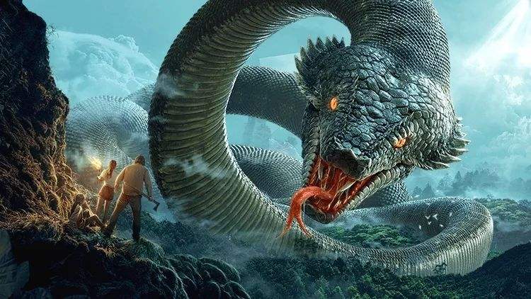 中国神龙vs中国巨蛇