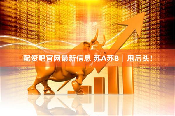 配资吧官网最新信息 苏A苏B│甩后头!